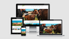 Webdesign Bern